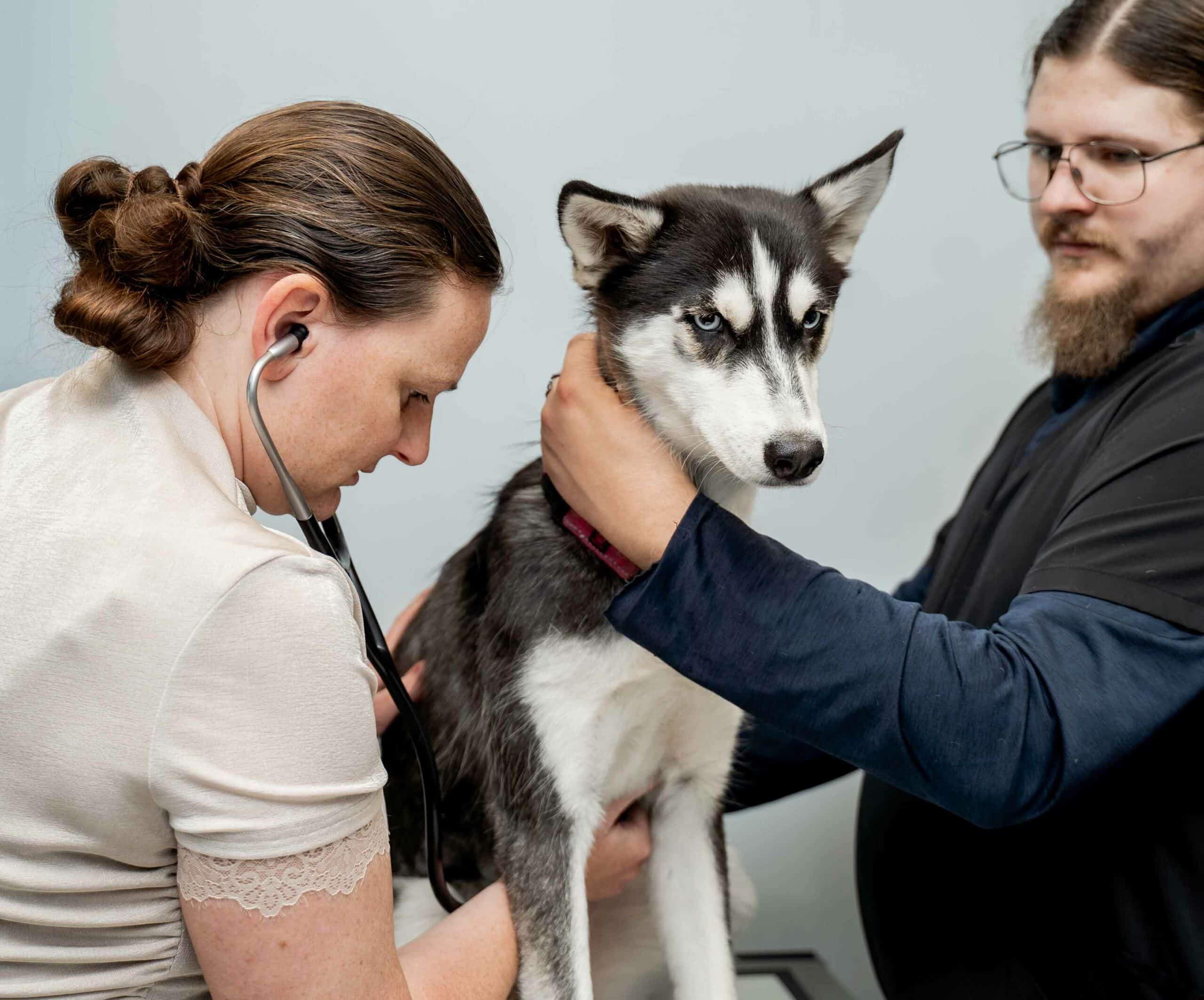 Wellness & Preventive Care Photo